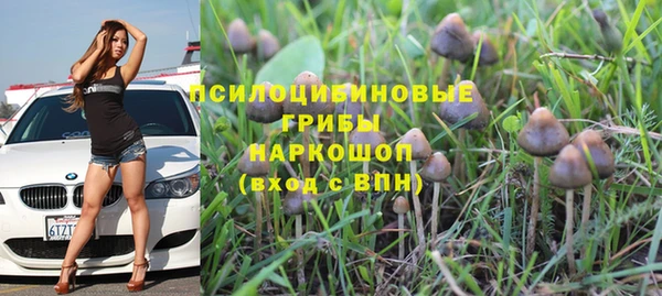 МДМА Алексеевка