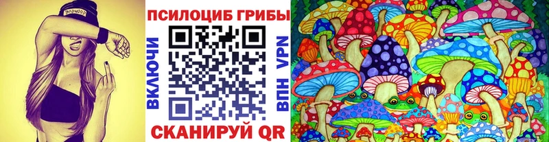 Псилоцибиновые грибы GOLDEN TEACHER  Андреаполь 